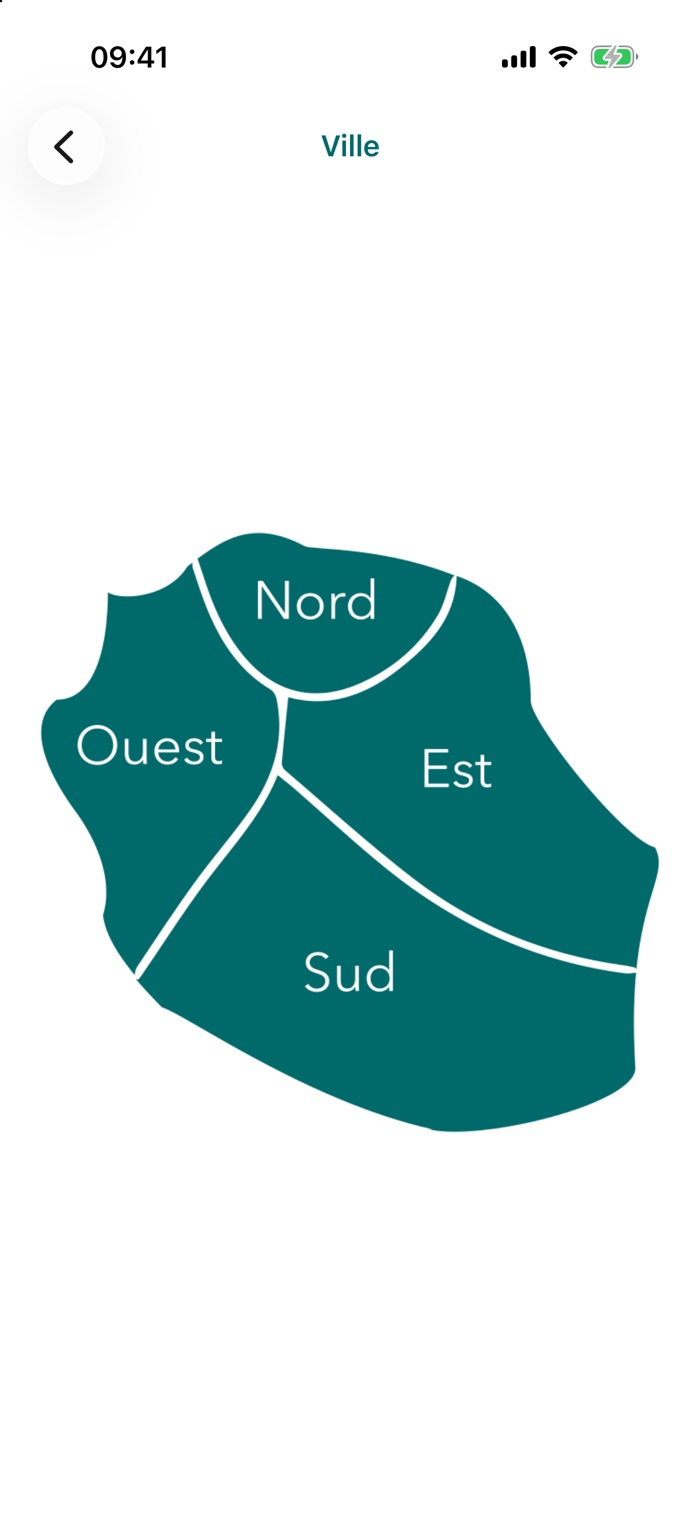 Carte de La Réunion par région
